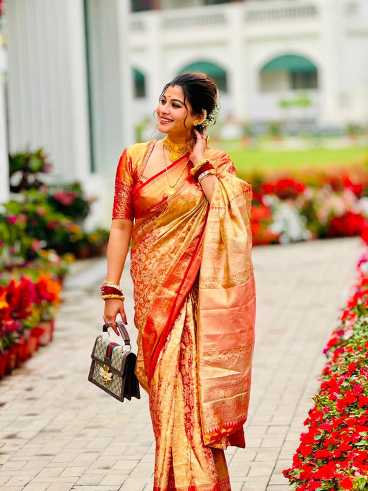 SAREE WITH BLOUSE